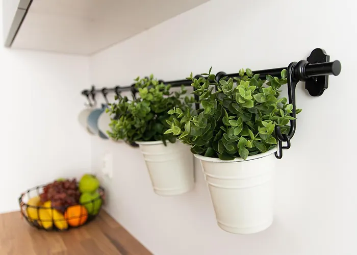 Apartamento Przy Plazy *